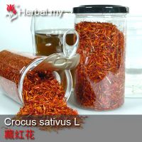 Crocus Sativus - 藏红花 31g