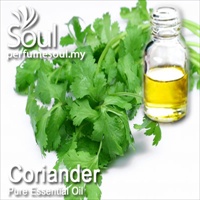 Pure Essential Oil Coriander - 10ml