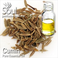 Pure Essential Oil Cumin - 50ml