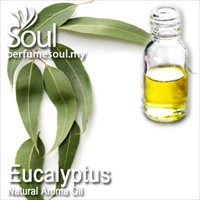 Natural Aroma Oil Eucalyptus - 50ml