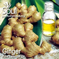 Pure Essential Oil Ginger - 50ml