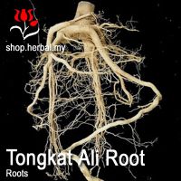 Tongkat Ali Roots